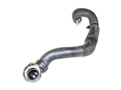 Ford Escape Coolant Reservoir Hose - CV6Z-8260-L