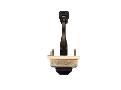 Lincoln BE5Z-5423552-A Check Assembly - Door