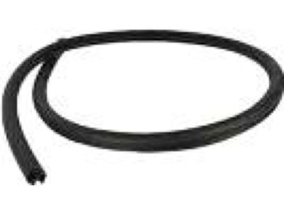 FR3Z-6320708-A Ford Weatherstrip Assembly - Door Opening Product Photo 1 of 4
