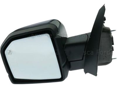 JL3Z-17683-SAPTM Ford Mirror Assembly - Rear View Outer, Driver Side Product Photo 1 of 4