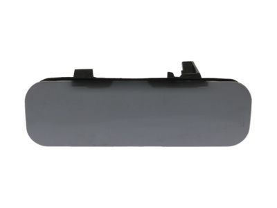 Ford 9T1Z-13A656-AA Blank Cover, Driver Side 9T1Z-13A656-AA Ford Blank Cover, Driver Side Product Photo 1 of 1