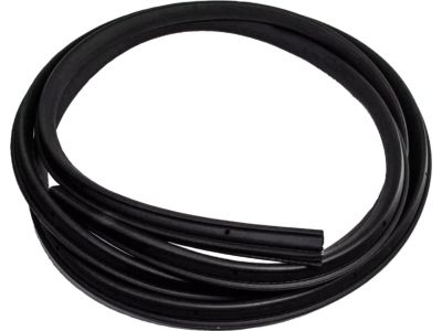 4L5Z-1320709-AA Ford Weatherstrip Assembly - Door Opening, Driver Side Product Photo 2 of 2