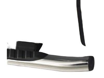 Ford 9L3Z-16450-EB Step Assembly