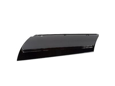 Ford FB5Z-78290A61-AA Moulding