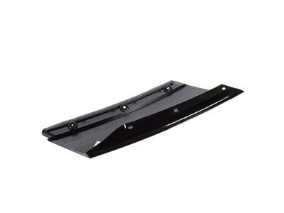 Ford FB5Z-78290A61-AA Moulding