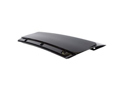 Ford FB5Z-78290A61-AA Moulding