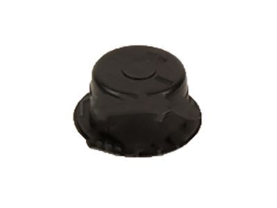 Lincoln 3M8Z-5423550-A Cover - Dust
