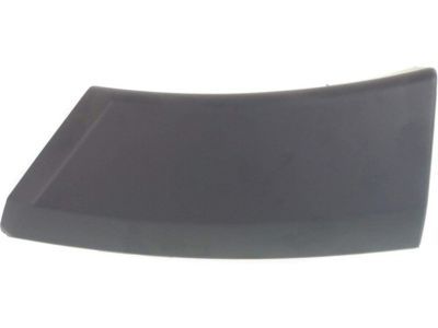 Ford 7L1Z-16038-BPTM Molding - Bumper Bar