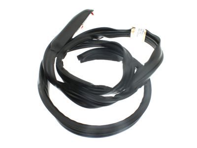 9L3Z-1651222-A Ford Weatherstrip, Passenger Side Product Photo 1 of 1