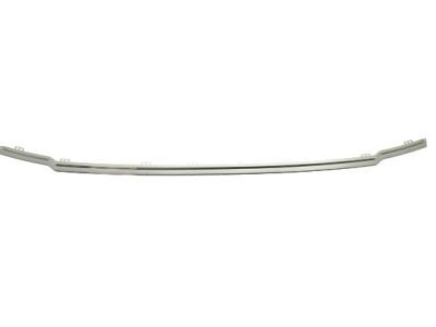 Ford DS7Z-8200-FA Grille - Radiator