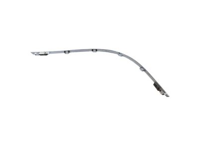 Ford 5G1Z-17C830-AAB Molding - Bumper Bar