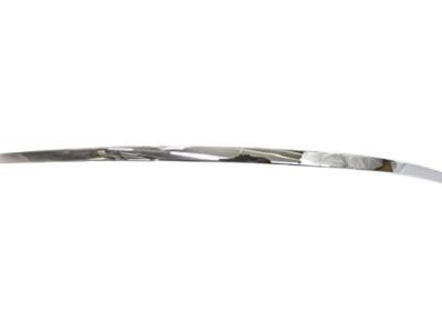 Ford 5G1Z-17C830-AAB Molding - Bumper Bar