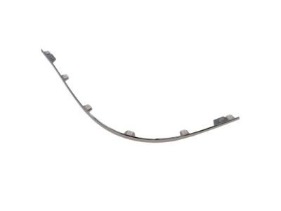 Ford 5G1Z-17C830-AAB Molding - Bumper Bar