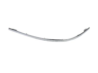 Ford 5G1Z-17C830-AAB Molding - Bumper Bar