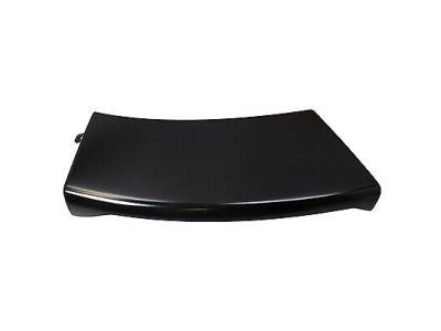 Ford 6L2Z-16039-BAPTM Molding - Bumper Bar
