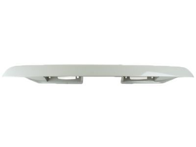 Mercury 3L8Z-7841018-AAPTM Moulding