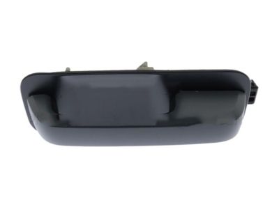 Ford FL3Z-1522404-CGPTM Handle Assembly - Door Outer