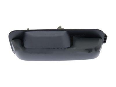 Ford FL3Z-1522404-CGPTM Handle Assembly - Door Outer