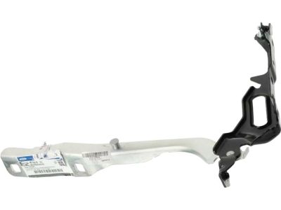 Ford HC3Z-16796-A Hinge Assembly - Hood, Passenger Side HC3Z-16796-A Ford Hinge Assembly - Hood, Passenger Side Product Photo 1 of 3