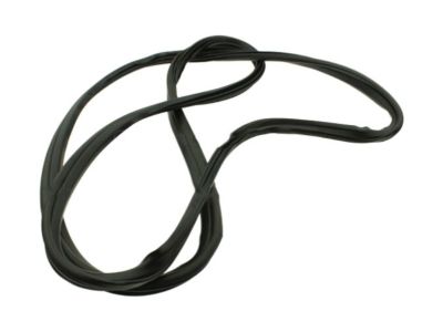 CK4Z-6120708-B Ford Surround Weatherstrip, Front Inner Product Photo 1 of 1