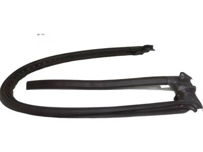 4L3Z-18253A36-AD Ford Weatherstrip, Passenger Side Product Photo 1 of 2