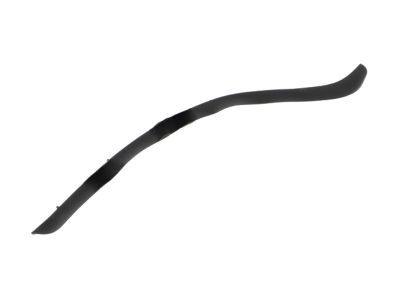 Ford DS7Z-5420708-B Weatherstrip Assembly - Door Opening