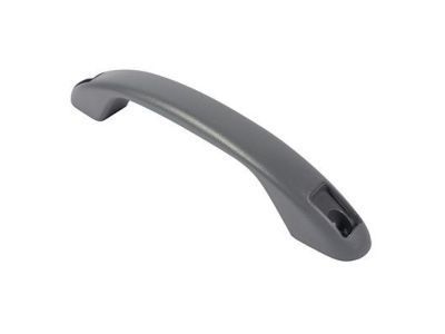 Ford F2UZ-1522666-AG Pull Handle, Black, Rear Center Passenger Side F2UZ-1522666-AG Ford Pull Handle, Black, Rear Center Passenger Side Product Photo 1 of 1