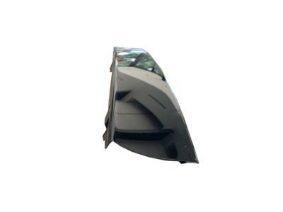 Ford Expedition Door Moldings - 2L1Z-7820983-AAA