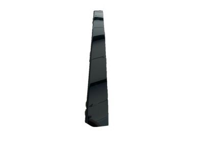 Ford Expedition Door Moldings - 2L1Z-7820983-AAA