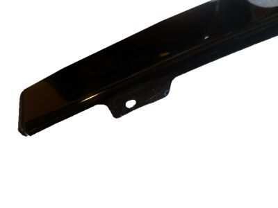 Ford Expedition Door Moldings - 2L1Z-7820983-AAA