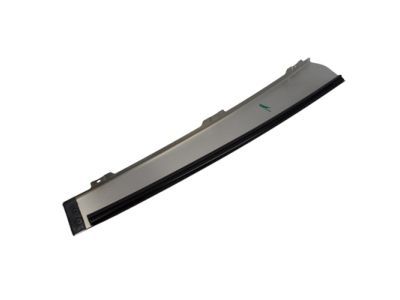 Ford Expedition Door Moldings - 2L1Z-7820983-AAA