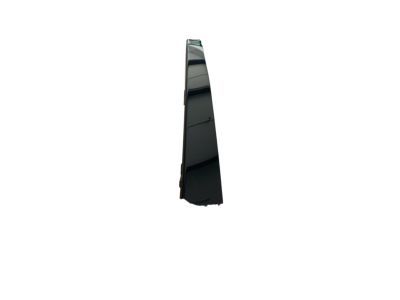 Ford Expedition Door Moldings - 2L1Z-7820983-AAA
