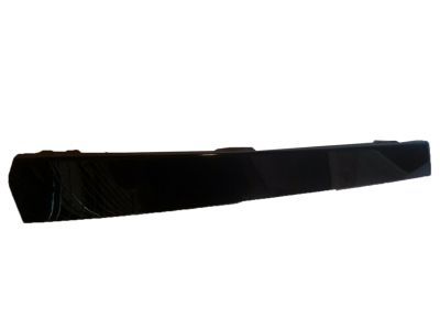 Ford Expedition Door Moldings - 2L1Z-7820983-AAA
