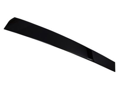 Ford Expedition Door Moldings - 2L1Z-7820983-AAA