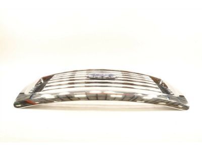 Ford CL3Z-8200-CB Grille - Radiator