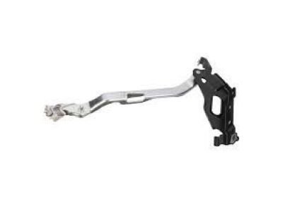 Ford FL3Z-16797-B Hinge Assembly - Hood