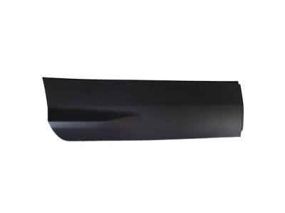 Ford CJ5Z-7825556-AA Side Molding, Rear Passenger Side CJ5Z-7825556-AA Ford Side Molding, Rear Passenger Side Product Photo 1 of 2