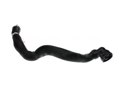 Ford Coolant Reservoir Hose - CV6Z-8260-M