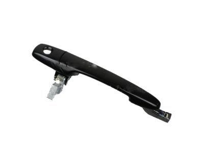 Ford AR3Z-6322405-AAPTM Handle Assembly - Door Outer