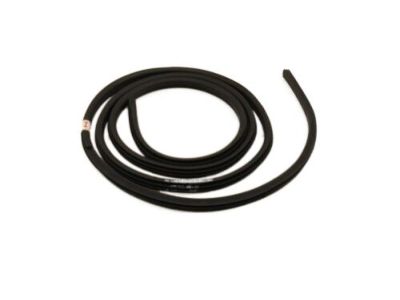 BL3Z-1820708-B Ford Weatherstrip On Body, Front Inner Passenger Side Product Photo 3 of 4