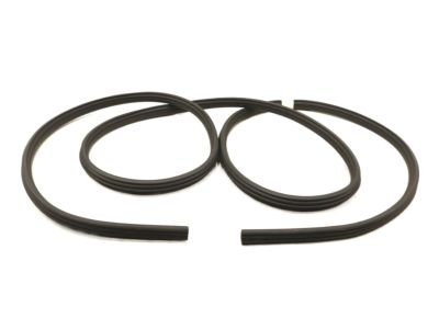 Ford BL3Z-1820708-B Weatherstrip On Body, Front Inner Passenger Side BL3Z-1820708-B Ford Weatherstrip On Body, Front Inner Passenger Side Product Photo 1 of 4