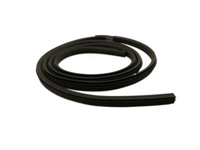 BL3Z-1820708-B Ford Weatherstrip On Body, Front Inner Passenger Side Product Photo 2 of 4