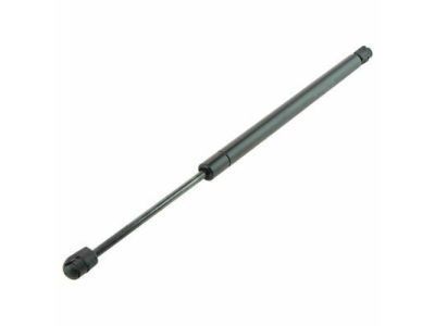 Lincoln F8OZ-16C826-AA Lift Assembly - Gas