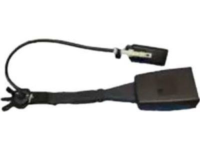 Ford DG1Z-5461203-AC Seat Belt Assembly, Driver Side DG1Z-5461203-AC Ford Seat Belt Assembly, Driver Side Product Photo 1 of 4