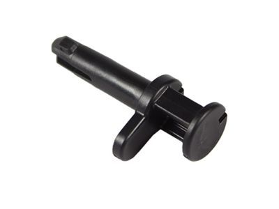 Lincoln BT4Z-5806056-A Pin - Hinge
