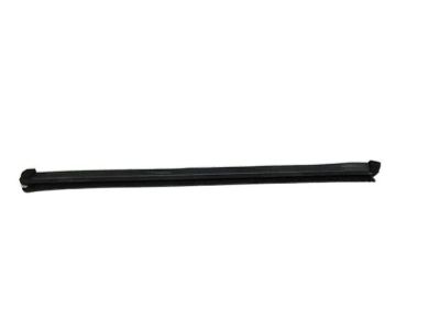 DS7Z-5421456-A Ford Belt Weatherstrip, Front Passenger Side Product Photo 1 of 1