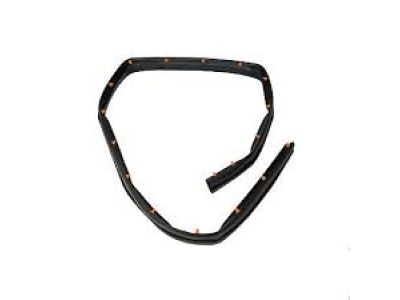 Ford FT4Z-5820759-B Weatherstrip - Door Lower