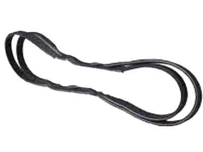 Ford BT4Z-8620-F V-Belt