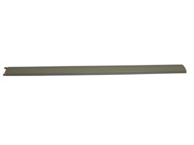 Ford 8W7Z-5420878-AAPTM Molding - Door Outside