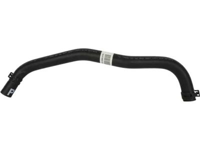 Ford BL3Z-3691-B Hose Assembly - Reservoir To Pump BL3Z-3691-B Ford Hose Assembly - Reservoir To Pump Product Photo 1 of 2